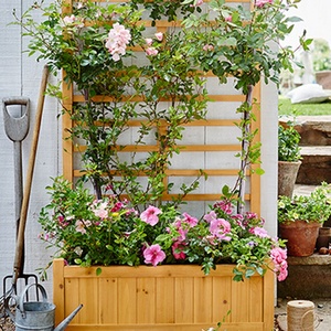 Vasi da giardino <span class=keywords><strong>fioriere</strong></span> da esterno di grandi dimensioni <span class=keywords><strong>in</strong></span> <span class=keywords><strong>legno</strong></span> <span class=keywords><strong>con</strong></span> <span class=keywords><strong>traliccio</strong></span> a <span class=keywords><strong>traliccio</strong></span> per piante rampicanti - Product Image 2