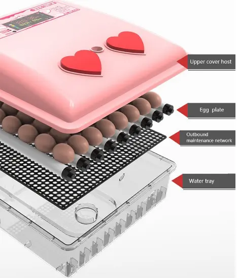 Fully Automatic Egg Incubators Goose Egg Incubator Automatic Egg Incubator Solar Panels