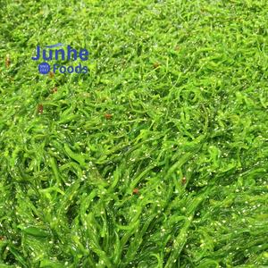 Suministro OEM <span class=keywords><strong>de</strong></span> China: Filetes <span class=keywords><strong>de</strong></span> caballa y huevas <span class=keywords><strong>de</strong></span> arenque congeladas instantáneamente, mezcla <span class=keywords><strong>de</strong></span> caviar <span class=keywords><strong>de</strong></span> calidad <span class=keywords><strong>sushi</strong></span>, condimento asiático tradicional en bolsa. - Product Image 4