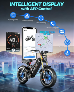 Bicicleta eléctrica de carga eAhora Romeo 2 con neumáticos gruesos negros, bicicleta utilitaria con portaequipajes trasero para reparto urbano y desplazamientos. - Product Image 6