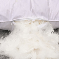 Coussin de salon, oreiller en plumes d'oie blanches sans impression, pour la maison et l'hôtel, excellent produit, cœur d'oreiller en plumes, vente en gros