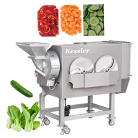 Kessler Industriële Automatische Roestvrijstalen Aardappelchip Groentesnijmachine Fruitvriendelijke Kern Motor Component 380V 1