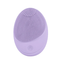 Usage domestique Sonic Vibrant Silicone Brosse De Nettoyage Du Visage Étanche Soins De La Peau Masseur Épurateur Beauté Bain Toilettes Fournitures