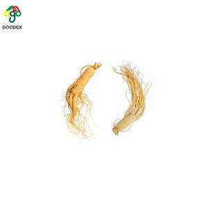 Nuevo cuerpo de fruta entera de ginseng de alta calidad seco natural puro agradable de lujo chino - Product Image 1