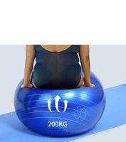 Ballon de Yoga Gonflable Multicolore en PVC de Marque en Gros pour Exercices, 55cm/65cm/75cm, Ballon d'Équilibre de Fitness, Équipement Sportif d'Intérieur