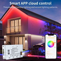 Gouly oem odm decoración al aire libre color de ensueño tira led aplicación de control IP68 impermeable ucs2904 rgbw tira led