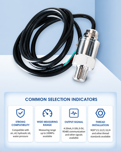 Sensor de Vacío a Alta Presión -100KPa-100MPa, Transmisor de Presión 4-20mA RS485, Alta Precisión 0.5%FS, Transductor Absoluto - Product Image 3
