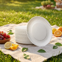 Assiettes en papier biodégradables personnalisées écologiques de qualité alimentaire, blanches, pour fêtes, collations, sushis, 7, 8, 9 pouces, non enduites, impression personnalisée