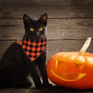 Vakantie Halloween Thanksgiving Rode Groene Kerst Plaid Sneeuwvlok Kat Met Verwijderbare Bandana Sjaal Kraag Voor Kittens Katten - Product Image 5