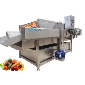 Machine à laver industrielle à jet d'eau et à brosser les fruits America Tomatillos Cactus Machine de nettoyage des fruits