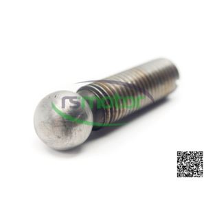 Vis de réglage d'origine OEM pour pilotes de moteur RS-12028031 MWM - Product Image 6