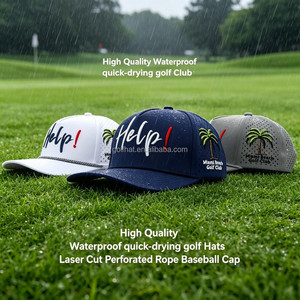 Waterproof Baseball Cap Custom 5 Panel 3D Embroidery Logo Laser Cut Hole Perforated Caps Performance Sports Golf Hats - Product Image 3