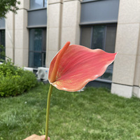 Fleurs artificielles EVA Anthurium Lily, verdure réaliste pour la décoration florale de mariage et de la maison