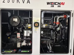 Guangzhou Grupo Electrogeno 200kw 250kva Industrial Power 300kw 400kw Weichai WP10D264E200 <strong>Generator</strong> OEM Price With ATS Option - Product Image 3
