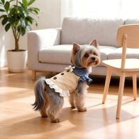 Accessoires pour animaux de compagnie : Robe en polyester pour animaux de compagnie, style jupe de princesse pour chat, tenue de mariage style britannique, pour le printemps et l'été