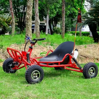 Go Karts de Freno de Disco para Carreras al Aire Libre Buggy de 4 Tiempos Refrigerado por Aire Mini Arranque por Tirador para Pradera Disfruta Go-Kart a Gasolina