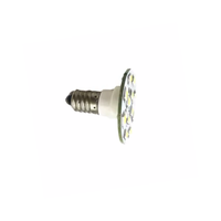 Alta calidad E10 12V/24V/60V/110V AC 220 W 150LM 16SMD Parque Temático Lámpara LED Luz de entretenimiento LED