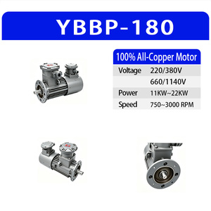 มอเตอร์สามเฟสปรับความถี่ได้ YBBP-180 แบบ 2/4/6/8 โพล 11-22 กิโลวัตต์ แรงบิดคงที่สูง มอเตอร์ขับเคลื่อนอุตสาหกรรมขนาดใหญ่ - Product Image 2