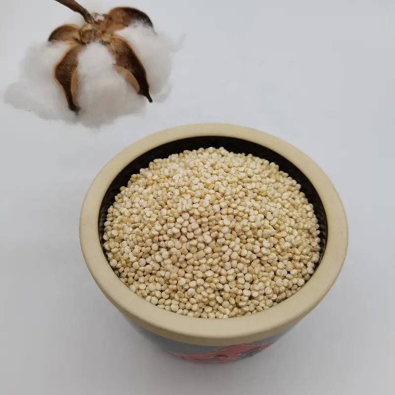Grosir Quinoa Putih Quinoa Ukuran Besar dan Kecil Produk Pertanian Alami Quinoa Mendukung Kemasan Disesuaikan
