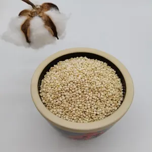 Vente en gros de Quinoa blanc, de grande et petite taille, produits agricoles naturels, support de quinoa, emballage personnalisé