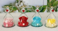 Fleurs Conservées Sous Cloche en Verre, Rose Rouge avec Halo Doré, Cadeau Romantique, Décoration d'Intérieur, Réutilisable, Marque Privée