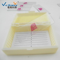 20pcs Human Oral Histology Slides Histology Slides Mouth Parts Microscope Oral Histology Slides