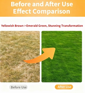 Pintura Natural <span class=keywords><strong>para</strong></span> Césped <span class=keywords><strong>de</strong></span> Color Directo <span class=keywords><strong>para</strong></span> Campos <span class=keywords><strong>de</strong></span> Golf y Áreas <span class=keywords><strong>de</strong></span> Césped Seco - Product Image 3