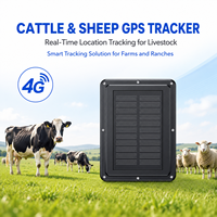 Traceur GPS 4G pour Vaches, Étanche IP67, Système de Suivi Intelligent pour Bétail avec Application Android, Localisateur GPS 4G