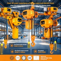 Bonnes performances, palans électriques à chaîne monorail de 2 tonnes, 3 tonnes, 5 tonnes, 10 tonnes pour grue de levage