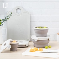 Boîte à Lunch ronde en Silicone, ustensiles de cuisine personnalisée boîte ronde de qualité alimentaire pliable récipient alimentaire