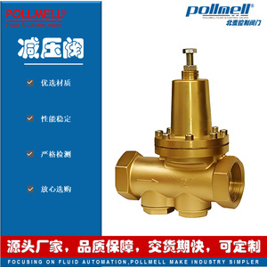 Régulateur de pression d'eau Pollmell 200P en laiton fileté, haute précision, grand débit - Product Image 3