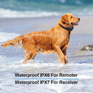 2 Empfänger wiederauf ladbare 2000M LED Beep Vibrate <span class=keywords><strong>Shock</strong></span> Control Remote Hunde trainings halsband - Product Image 4