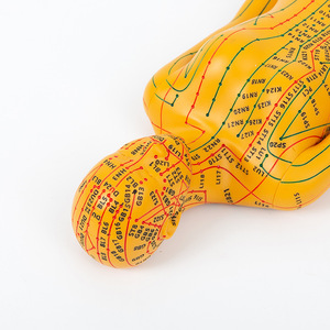 Modello di Punti di Agopuntura con Struttura del Corpo Umano - Simulatore di Addestramento con Ago in PVC per l'Apprendimento della Medicina Tradizionale Cinese - Product Image 3