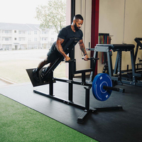 Banc de musculation Tellus Steel Chest Support T-Bar Row Machine Cardio Exercise Hip Thruster avec poids réglables, banc d'extension dorsal réglable, salle de sport, 100 lb