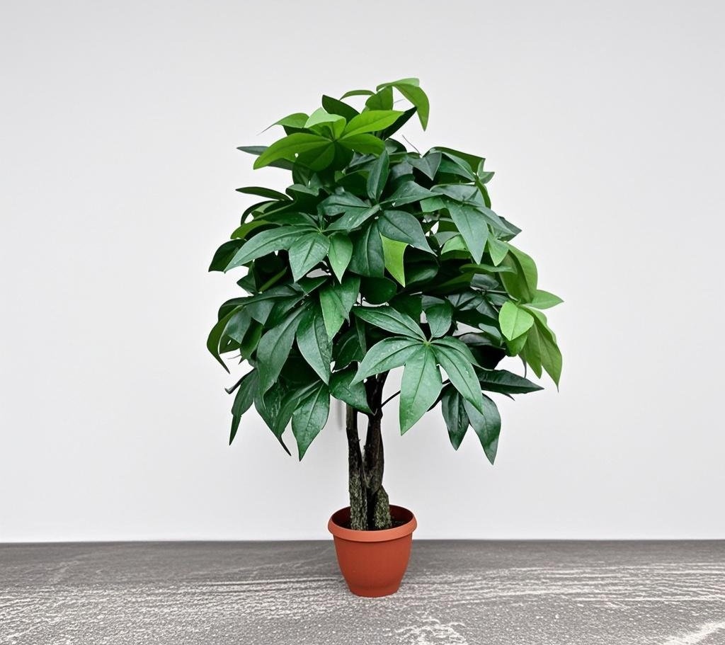 best zz plant fertilizer ZZ Plant Imperial Potting Soil Standard Bag