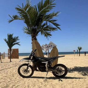 มอเตอร์ไซค์วิบาก TE5 สำหรับขับขี่บนชายหาดทรายนุ่มริมทะเล - Product Image 1