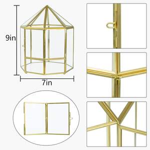 Terrario de Vidrio Dorado con Puerta, Redondo, Geométrico, para Decoración de Jardín de Hadas en Miniatura, para <span class=keywords><strong>Suculentas</strong></span> - Product Image 5