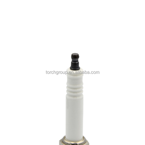Bougie d'allumage R1B12-77 pour générateur à gaz, électrode à 4 points de terre de 0,3 mm, avec support technique gratuit - Product Image 4