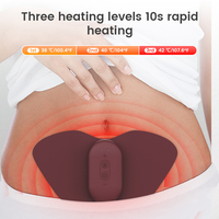Appareil TENS sans fil rechargeable Type C pour la gestion des douleurs menstruelles sans médicament, avec télécommande et fonction chauffante pour la taille – Prix fournisseur
