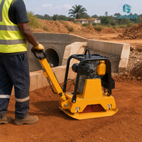 Compacteur à plaque vibrante réversible diesel 160 kg, machine de compactage robuste pour sols, sable et gravier