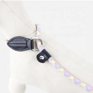 150cm Soft Handle 2 in 1 Collar Function <strong>Dog</strong> Training Slip Leash Thick Rope <strong>Dog</strong> <strong>Lead</strong> - Product Image 1