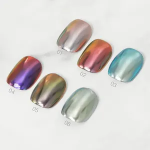 Professional Nail Supplier 6 Colors Magic Mirror Effect Liquid Art Pigment Nail art Lacquer Chrome Powder Wholesale OEM