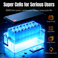 Livraison gratuite dans l'UE, batterie lithium rechargeable 25,6 V 24 V 100 Ah, BMS 100 A, batterie LiFePO4 sans chargeur