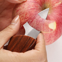 Portable Miniature Chubby Couteau De Haute Qualité Sharp Polyvalent Camping En Bois Couteau À Poisson En Acier Inoxydable Fruits Pomme Couteau