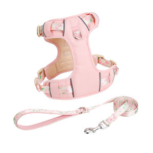 Tali kekang anjing neoprena, bisa disesuaikan pola buah cetak anyaman bernapas nyaman untuk semua ukuran anjing - Product Image 4