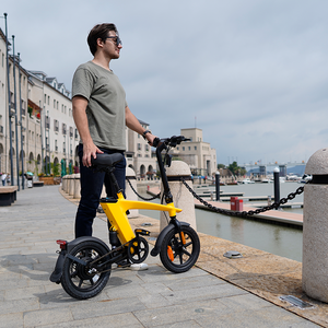 2026 New 250W 14 Inch Mini 3 Speed Lithium Battery <b>Foldable</b> City Elektrikli Bisiklet Brushless Motor H1 <b>Small</b> Folding B - Product Image 1