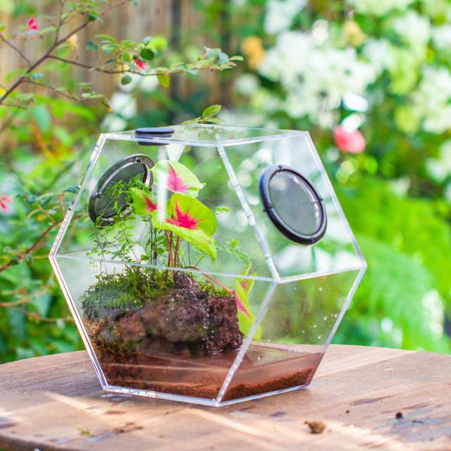 Handmade Large Acrylic Hexagon Watertight Enclosure Terrarium with Mesh Vents Acrylic Cage for Insects
