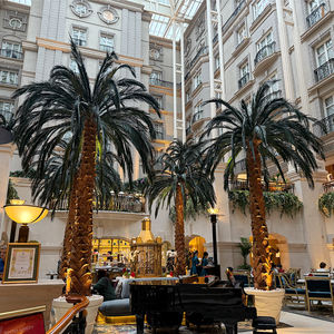 Palmera Artificial Grande de 2.5-10m, Tronco de Fibra de Vidrio Resistente a los Rayos UV, Palmeras Artificiales para Decoración de Parques Temáticos/Hoteles - Product Image 2