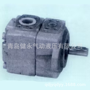 Pompe à palettes hydraulique à déplacement fixe série YUATSUSEIKI PV2R PV2R1 PV2R2 PV2R3, débit fixe, montage frontal vertical - Product Image 3