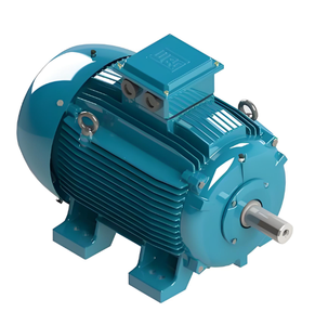 มอเตอร์เหนี่ยวนำสามเฟส 380V แบบสควิร์เรลมอเตอร์ คุณภาพสูง - Product Image 2
